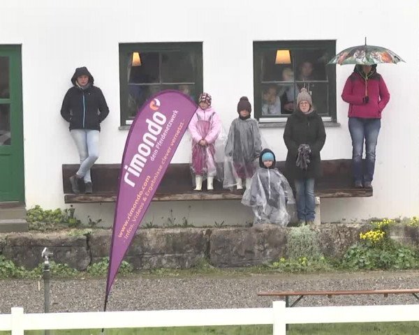 Reitturnier Leutkirch-Diepoldshofen 2017