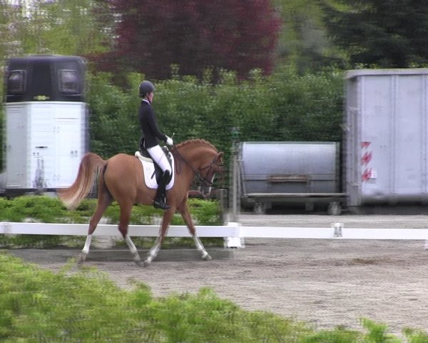 Reitturnier Olfen-Vinnum 2017