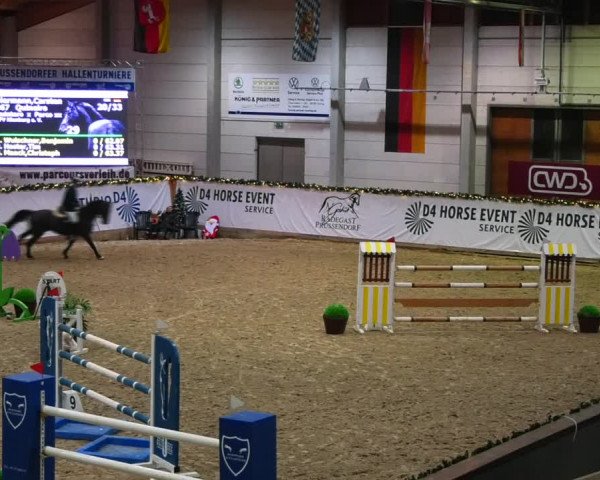 Christmas Jumping Trophy Prussendorf 2021