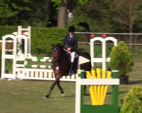Reitturnier Jülich 2017