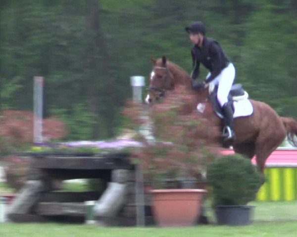 Reitturnier Olfen-Vinnum 2017