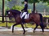 dressage horse Lorenzo 253 (Westphalian, 2001, from Laomedon)