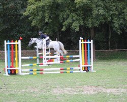 Springpferd Westendorf Flora (Deutsches Reitpony, 2005, von Spanenland's Patrick)