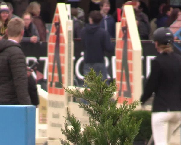Reitturnier Havixbeck 2017