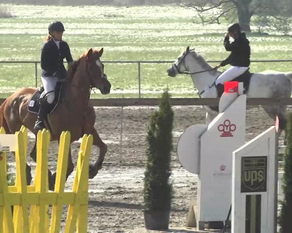 Reitturnier Leutkirch-Diepoldshofen 2017