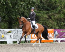 dressage horse Fibonacci 9 (Oldenburger, 2006, from Florencio I)