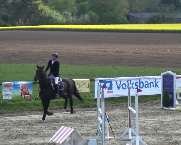 Reitturnier Xanten - Moermter 2017