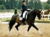 horse Luigi 80 (Hanoverian, 1993, from Lauries Crusador xx)