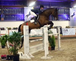 jumper Lord Ludwig 16 (Hanoverian, 2012, from Lord Quidam)