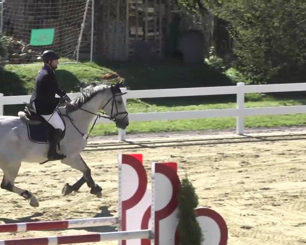 Reitturnier Leutkirch-Diepoldshofen 2017