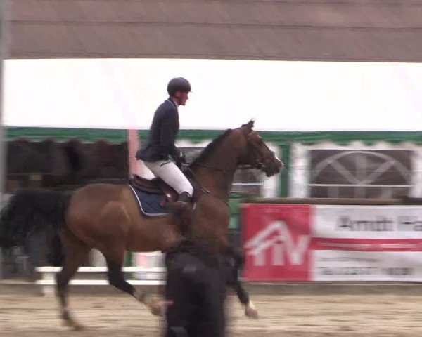 Reitturnier Havixbeck 2017