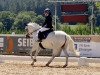 dressage horse Nepumuck 19 (Pony without race description, 2006)