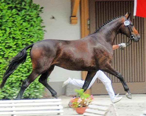 dressage horse Guana Rr CH (Swiss Warmblood, 2005, from De Niro)
