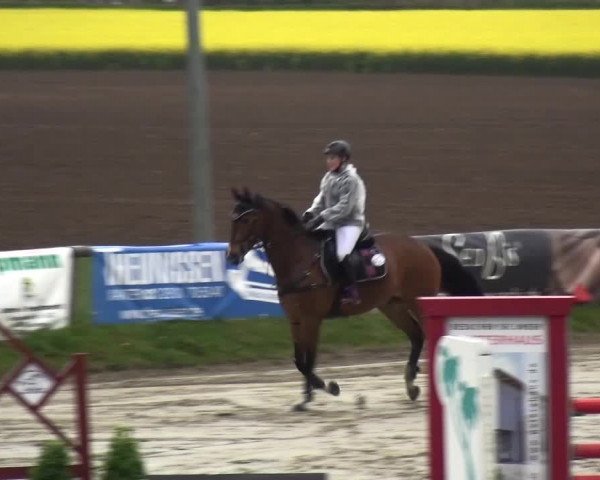 Reitturnier Xanten - Moermter 2017