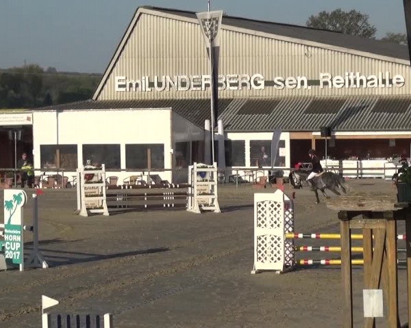 Reitturnier Xanten - Moermter 2017