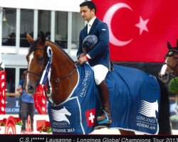 jumper Candy Boy (Belgian Warmblood, 2002, from Triomphe de Muze)