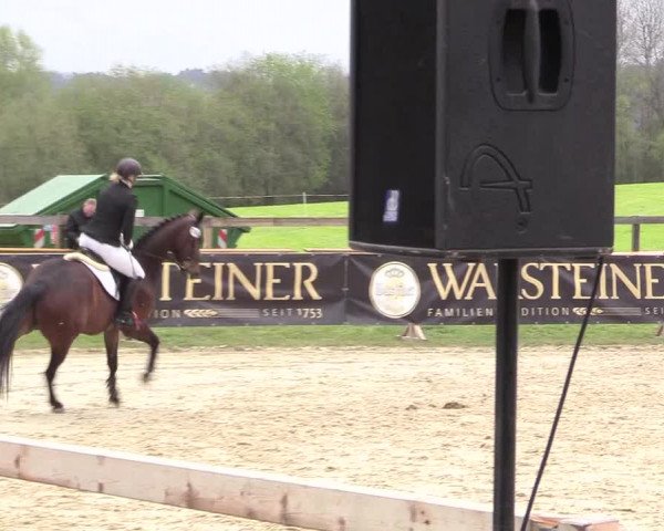 Reitturnier Niederbergheim 2017