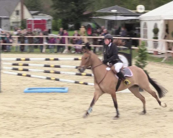 Reitturnier Niederbergheim 2017
