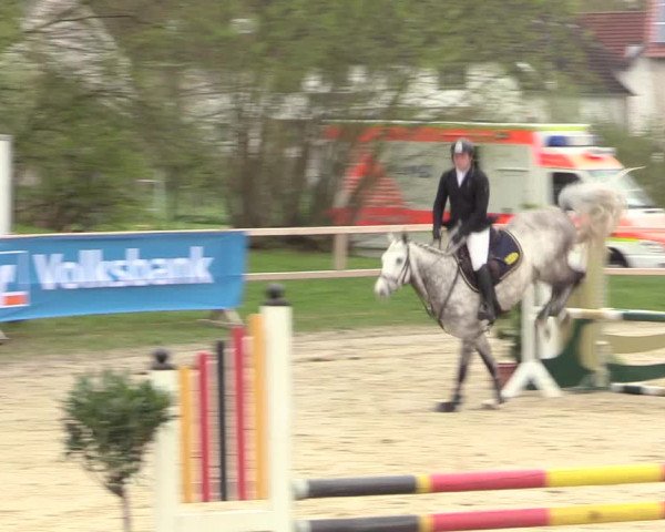 Reitturnier Niederbergheim 2017