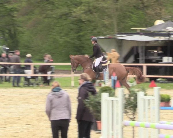 Reitturnier Niederbergheim 2017