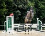 jumper Tipperary's Winni (Irish Sport Horse, 2016, from Killea Hill View)