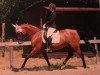 dressage horse Upper East (unknown, 2002)