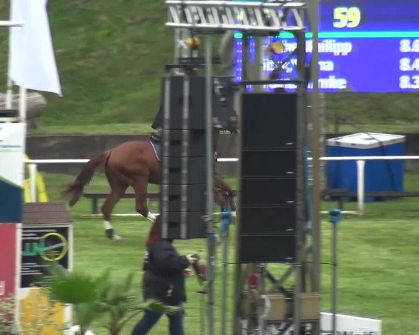 Reitturnier Greppin 2017