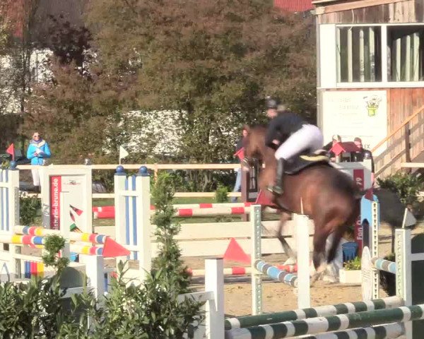 Reitturnier Niederbergheim 2017