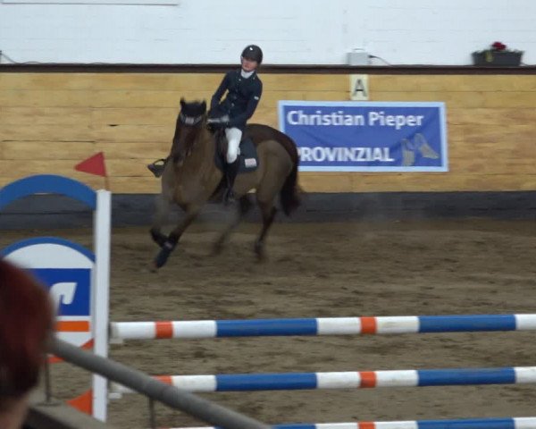 Reitturnier Heide 2021