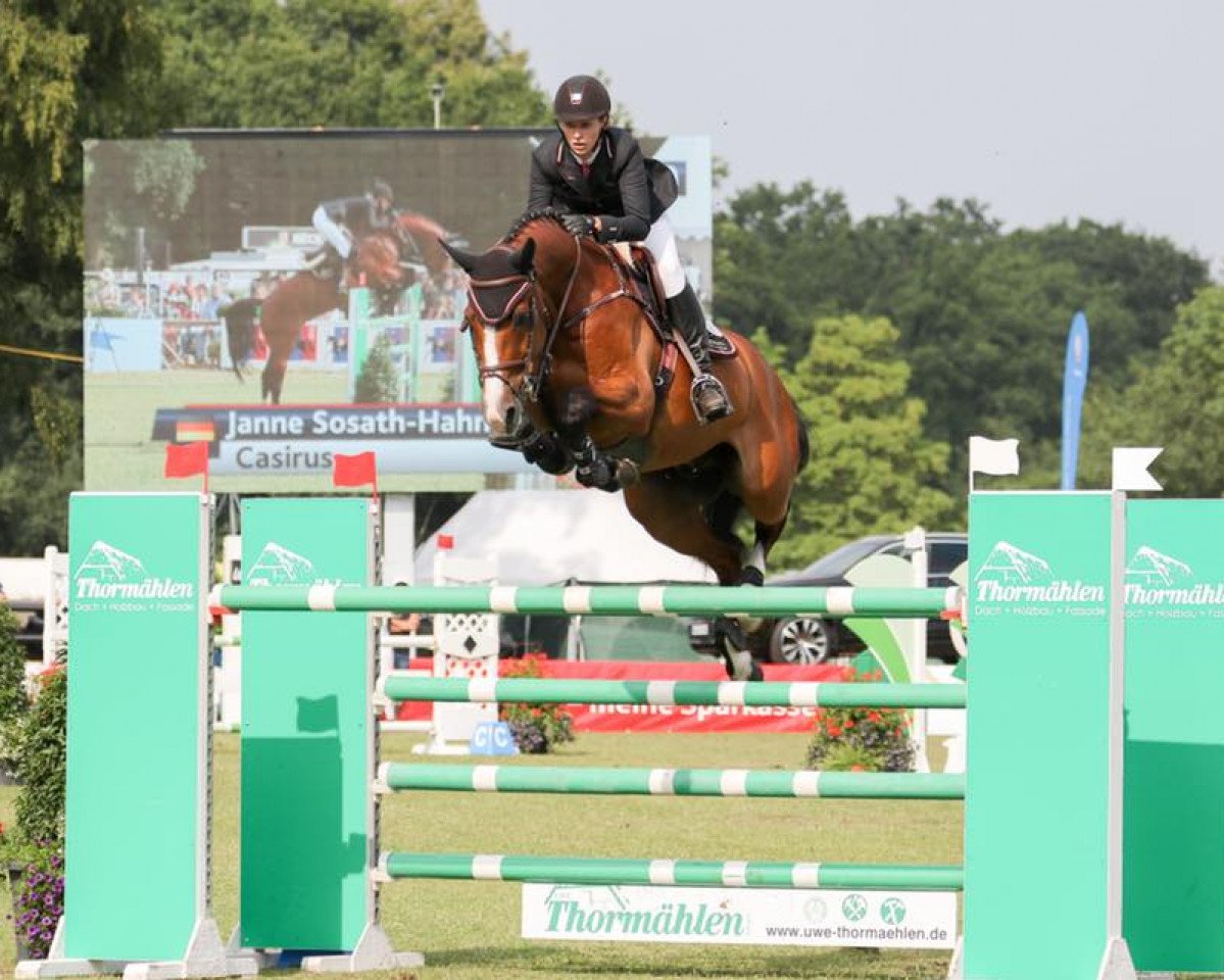 stallion Casirus (Oldenburg, 2009, from Casiro I)