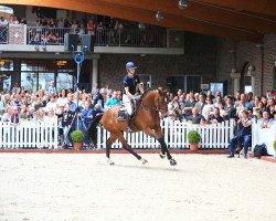 jumper Casino Rubin (Oldenburg, 2016, from Casino Grande)