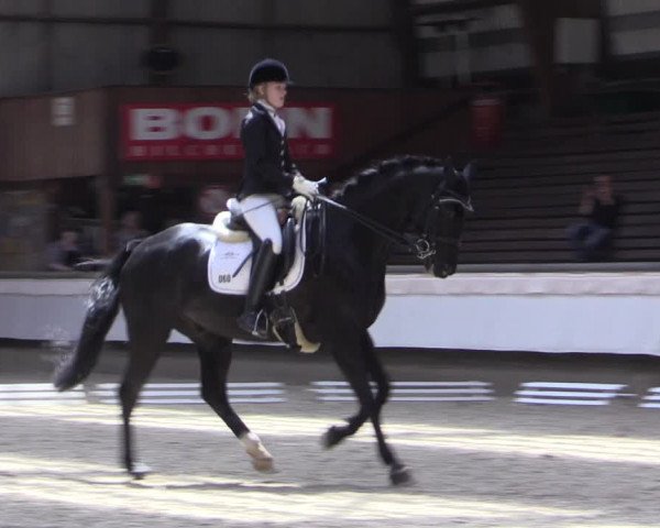 Reitturnier Kreuztal 2017