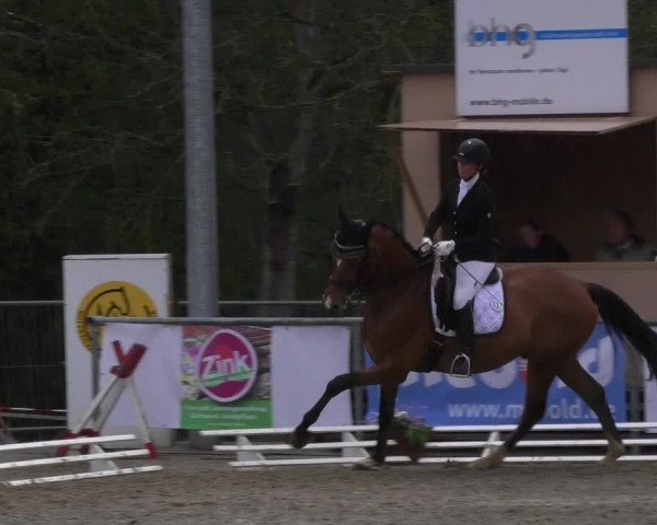 Reitturnier Rottweil 2017