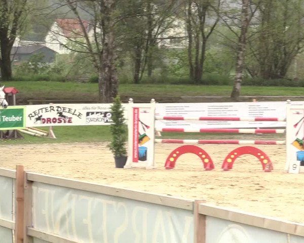 Reitturnier Niederbergheim 2017