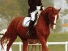 Springpferd Goldbach Angelo CH (Schweizer Warmblut, 2003, von Abanos)