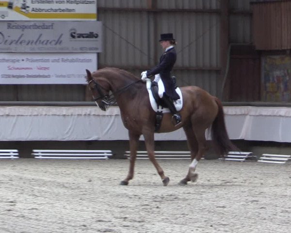 Reitturnier Kreuztal 2017