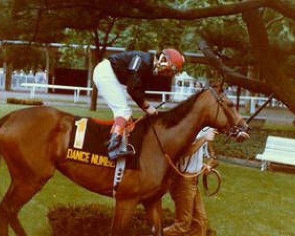 broodmare Dance Number xx (Thoroughbred, 1979, from Northern Dancer xx)