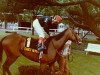 broodmare Dance Number xx (Thoroughbred, 1979, from Northern Dancer xx)