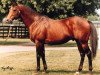 stallion Polish Numbers xx (Thoroughbred, 1987, from Danzig xx)