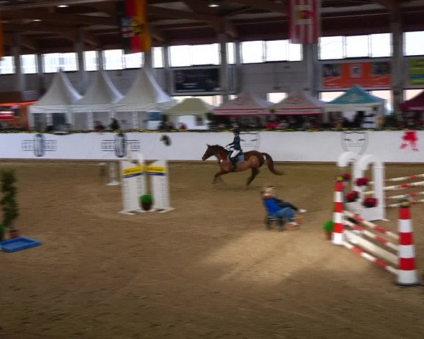 Christmas Jumping Trophy Prussendorf 2021