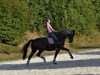 dressage horse Diva d'Amour (Oldenburg, 2010, from San Amour I)