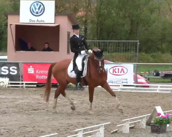 Reitturnier Rottweil 2017