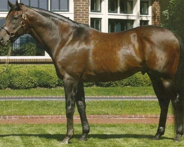 stallion Pine Bluff xx (Thoroughbred, 1989, from Danzig xx)