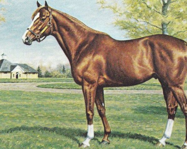 stallion Vice Regal xx (Thoroughbred, 1973, from Bismark xx)