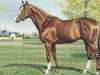 stallion Vice Regal xx (Thoroughbred, 1973, from Bismark xx)