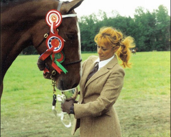 broodmare Winmaur Bright Alice (Irish Draft Horse, 1990, from Banks Fee Daniel)