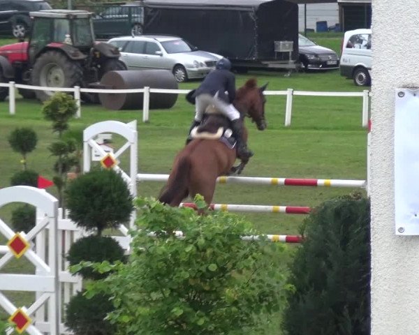 Reitturnier Greppin 2017