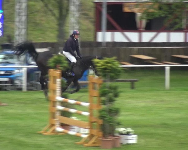 Reitturnier Greppin 2017