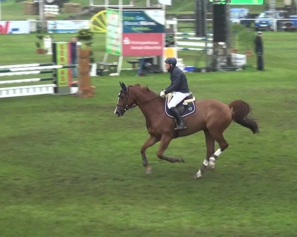 Reitturnier Greppin 2017
