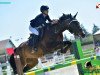 jumper Latent H (German Sport Horse, 2006, from Horse Gym’s Lianos)